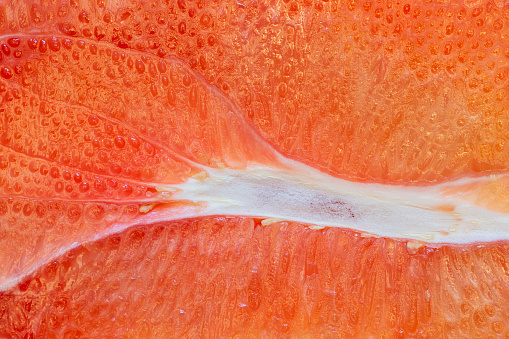 Macro shot of pink pomelo cross-section with detailed fruit flesh. Citrus maxima.