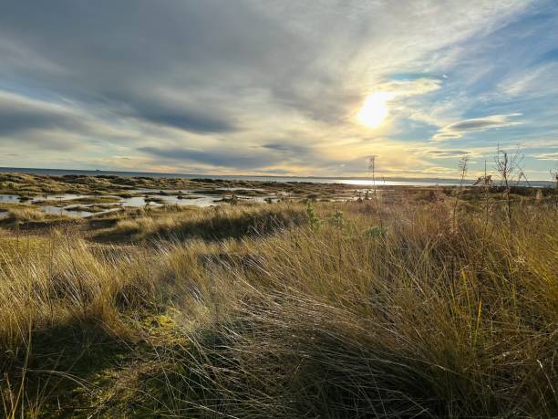 istock Ooh what a morning. Sunshine on Scottish beach 1456624859