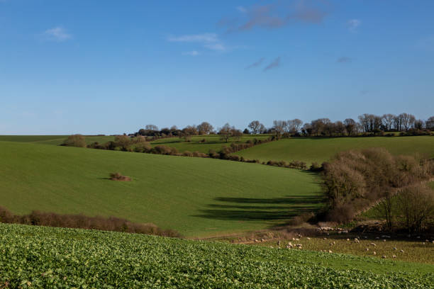 istock A view over South Downs farmalnd on a sunny winter's day 1456624892