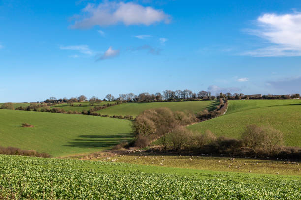 istock Farmland in the South Downs on a sunny winter's day 1456624922