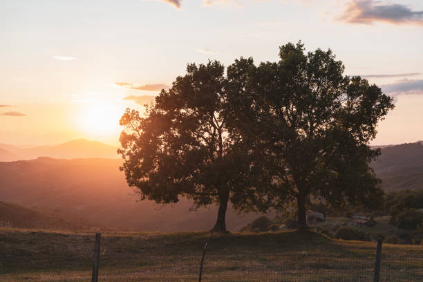 istock Warm summer sunset in Umbria, Italy 1456625468