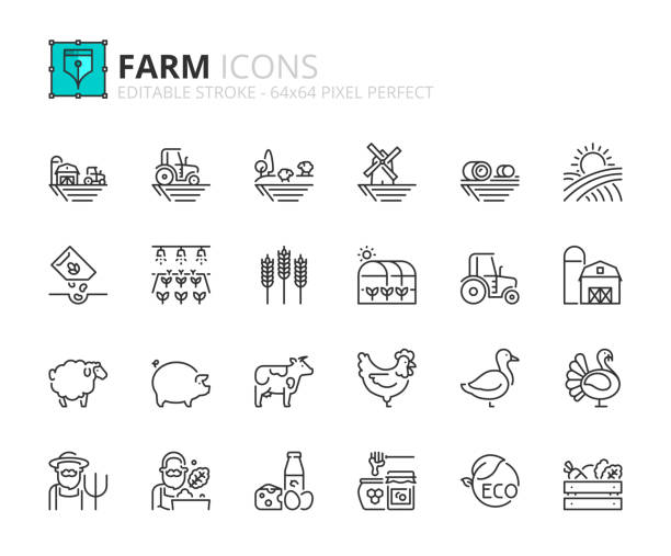 ilustraciones, imágenes clip art, dibujos animados e iconos de stock de conjunto simple de iconos de contorno sobre la granja de servidores - tractor agriculture field harvesting