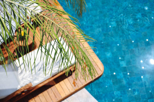 Beautiful tropical beach front hotel resort with swimming pool, sun-loungers and palm trees during a warm sunny day, paradise destination for vacations