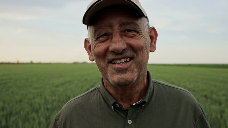 Senior farmer standing in wheat field examining crop during the day.