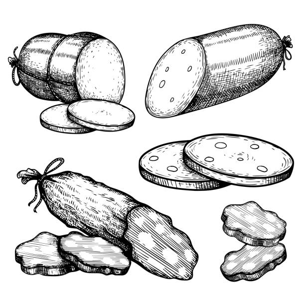 ilustraciones, imágenes clip art, dibujos animados e iconos de stock de boceto dibujado a mano estilo conjunto de varias salchichas, salami. colección de elementos de carnicería para menú, diseños de paquetes. ilustración vectorial. - lunch sausage breakfast bratwurst