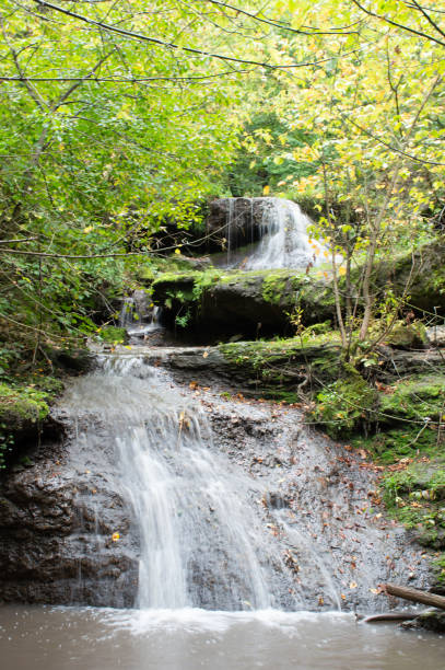 istock Amazing multi-level waterfall hidden in the forest 1456637848