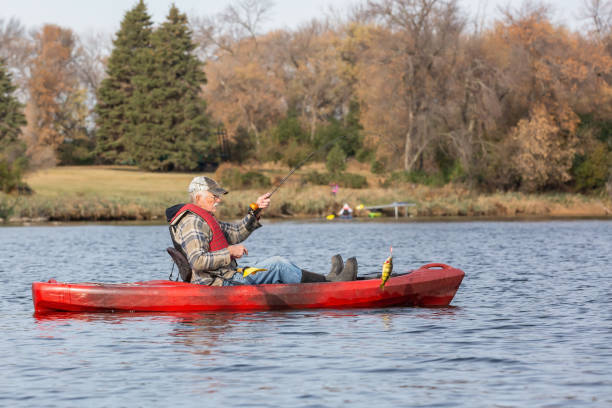 istock Senior Man Catching Perch While Kayak Fishing 1456639862