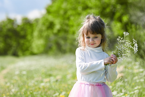 cute little girl with spring flowers portrait. springtime and children. Girl with bouquet of spring flowers. Beautiful child picks flowers in a spring field