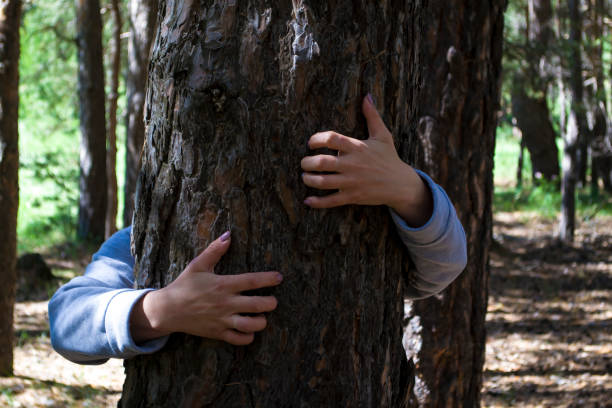 istock Hugging a tree trunk in the forest. Nature gives a background with light and shadow. 1456642787