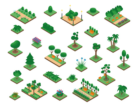 Vegetation, plants for the park. Trees and bushes. Isometric Vector illustration.
