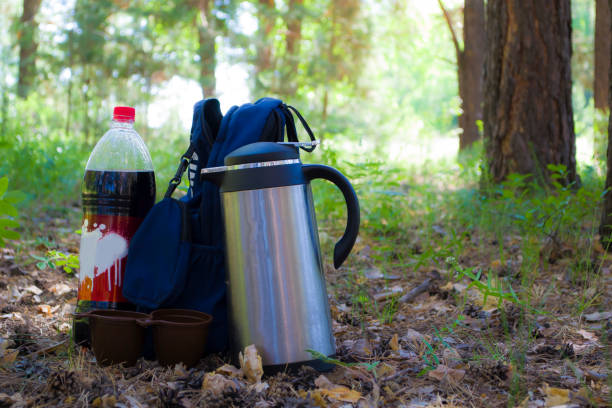 istock Backpack, thermos and bottle with a drink, rest in nature, vacation time and weekends. 1456645237