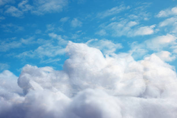 algodón blanco con cielo azul - cotton photography cloud plantation fotografías e imágenes de stock