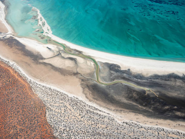 istock Aerial abstract of coastline 1456651306