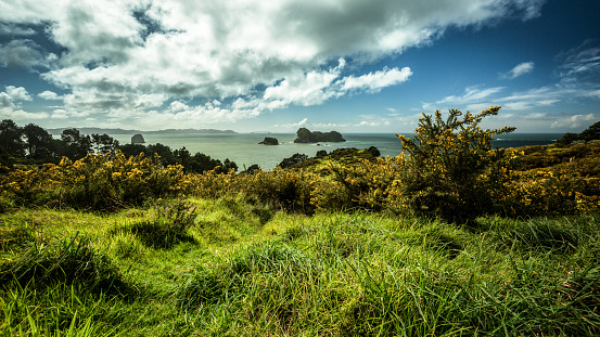 Views out to the sea from the beginning of the track down to Cathedral Cove, Te Whanganui-A-Hei , in the Coromandel. Blue sky with white clouds. Green grass and native vegetation.