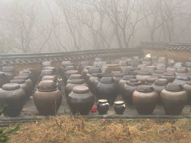 Seoul Gwanaksan, Korea For Gochujang and Kimchi Onggi