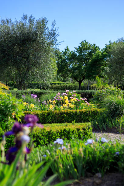 istock Tuscan countryside Iris Flowers Garden 1456666642