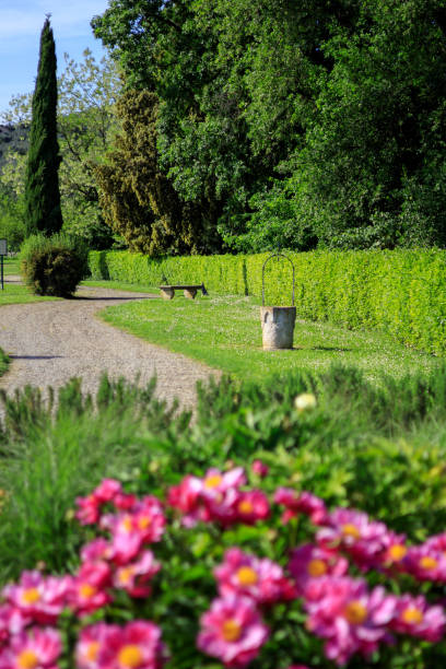 istock Tuscan countryside Iris Flowers Garden 1456666646