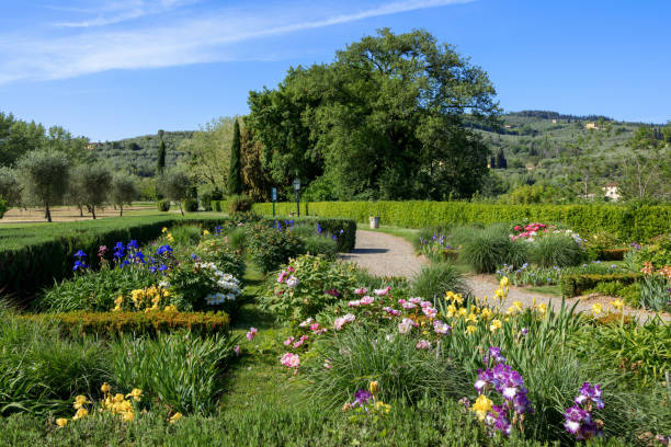 istock Tuscan countryside Iris Flowers Garden 1456666654