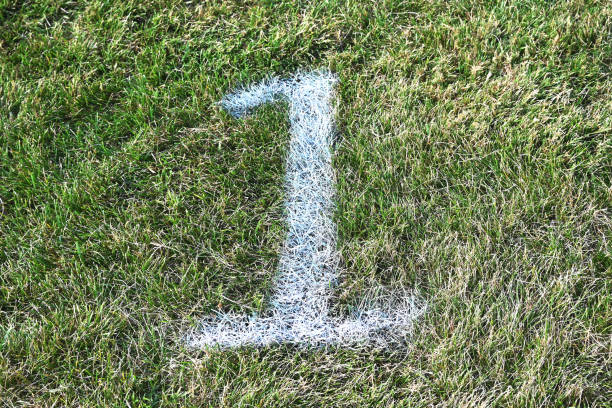 Number 1 on Grass stock photo
