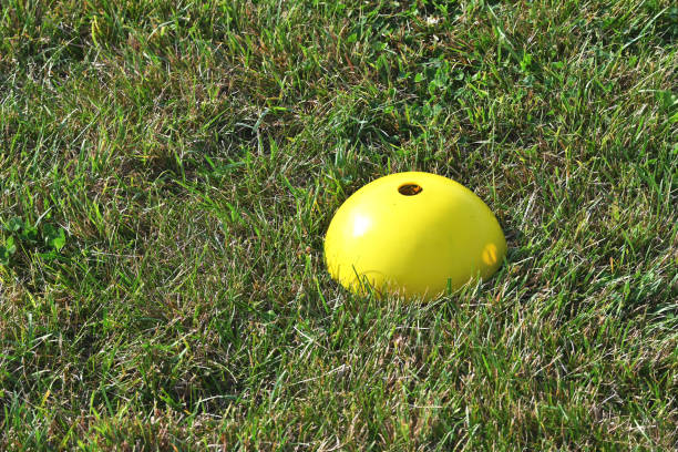 Yellow Dome in Grass stock photo