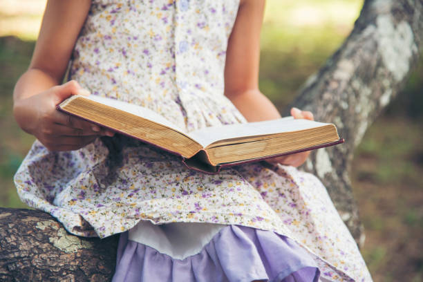 Asian Girl holding book reading at green park in natural garden. Young todler girl relaxation read open book self study. Happy child women smiling with happiness learning. Kid sit in green park chica asiática sosteniendo la lectura de libros en un parque verde en un jardín natural. relajación de la niña niña pequeña leer libro abierto autoestudio. niñas felices sonriendo con felicidad aprendiendo. niño siéntate en el parque verde