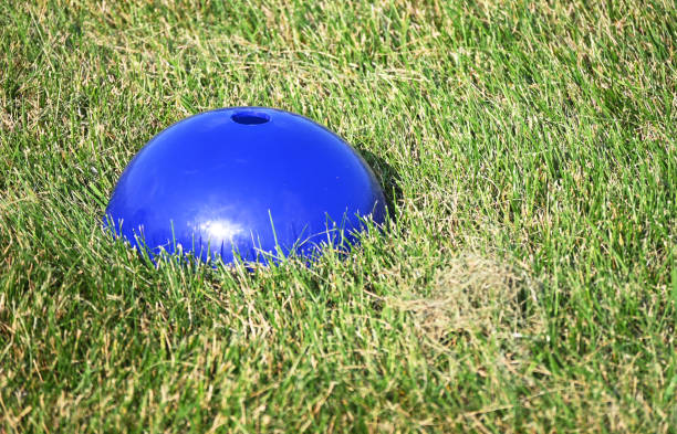 Blue Dome in Grass stock photo