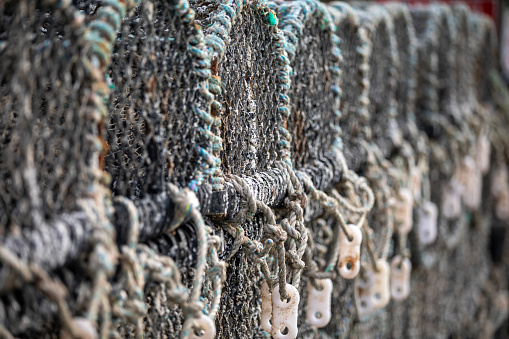 Lobster traps in a harbour in Newquay.