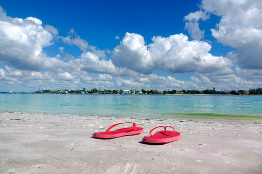 Waterfront view over sunny sky in Sarasota Bay, Florida