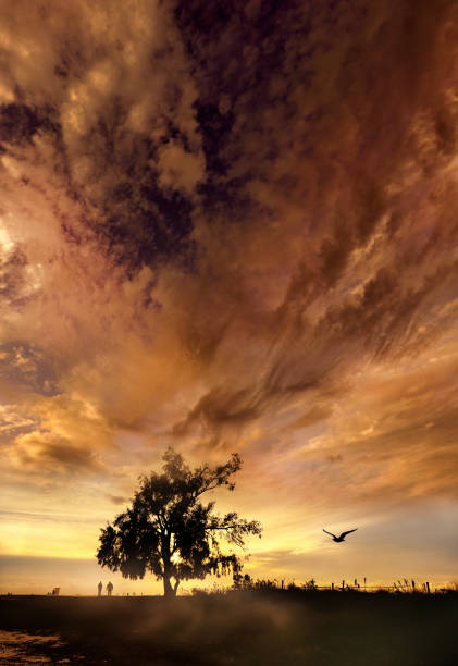 istock Dramatic landscape with large single tree over sunset sky and people 1456675493