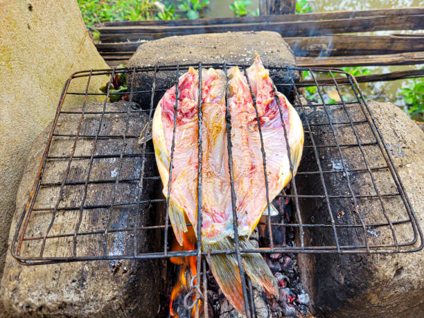 portrait of goldfish grilled