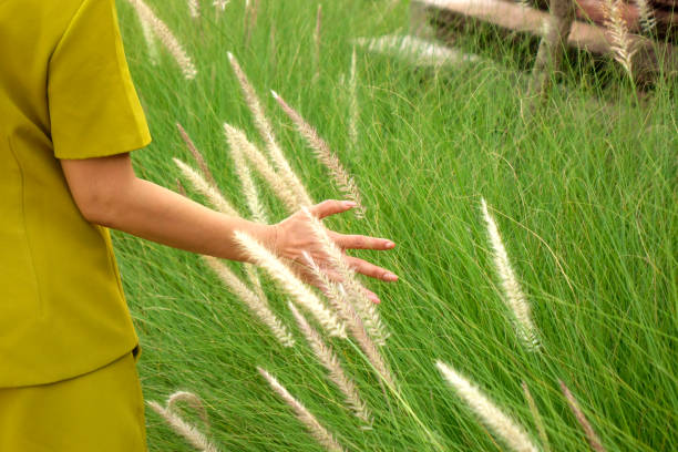 Young woman and shiny tropical field in Bangkok