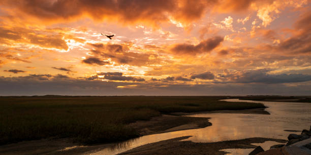 espectacular paisaje nublado del atardecer sobre el pantano con río curvo en cape cod - cape cod new england sea marsh fotografías e imágenes de stock