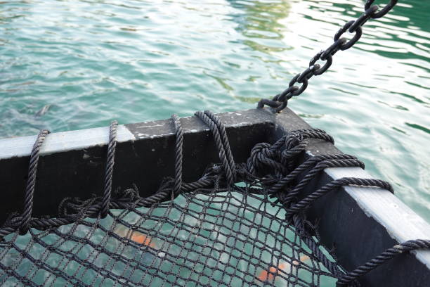 istock A black net seat to relax over a green pond. 1456680645