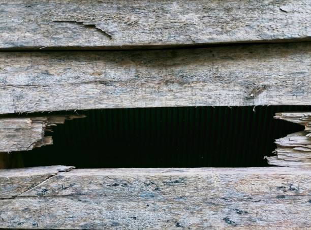 The wood was broken for background