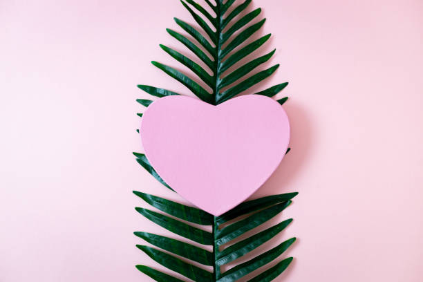 istock One heart gift box with palm branch on a pink background. 1456688434
