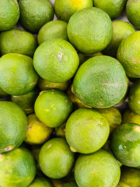 istock Collection of Green Lime 1456691491