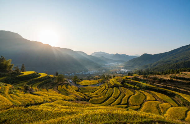 istock Autumn landscape of terraced fields and countryside 1456696612