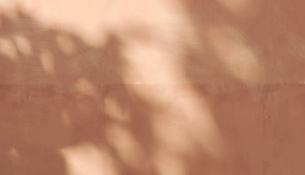 istock Beautiful soft natural dappled light of tropical tree and leaf shadow on blank beige brown wall 1456697885