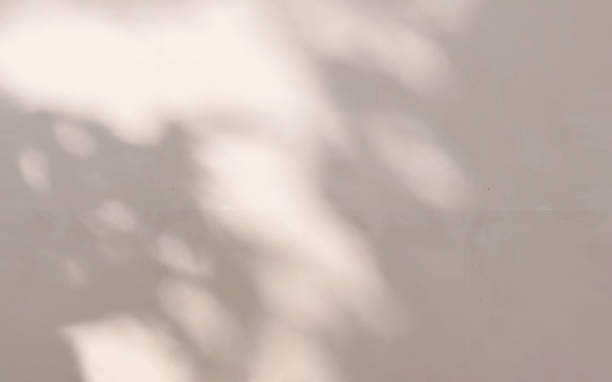 istock Beautiful soft natural dappled light of tropical tree foliage and leaf shadow on blank matte paint beige wall 1456697886