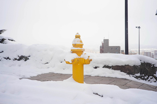yellow fire hydrant winter season