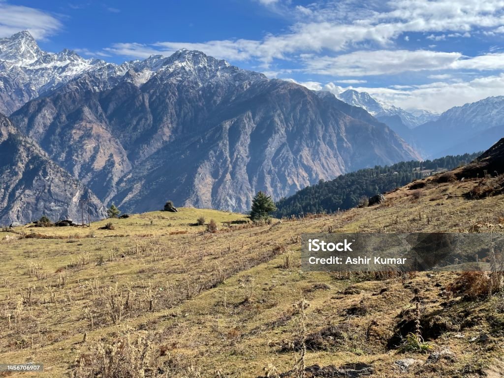 Uttarakhand - Travel to Auli Auli is a Himalayan Ski Resort near Joshimath, and is very close to Badrinath (A Famous Hindu Pilgrimage point). It’s surrounded by coniferous and oak forests, plus the Nanda Devi and Nar Parvat mountains. Asia Stock Photo
