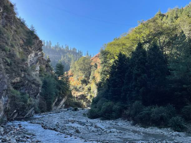 istock Uttarakhand - Travel to Auli 1456706957
