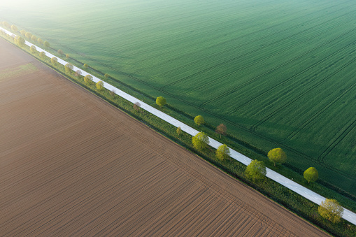 Aerial view on idyllic tree-lined country road through the spring fields.