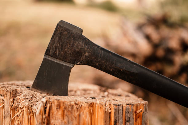 istock Detail of axe. chops tree in wood with sharp ax 1456711873