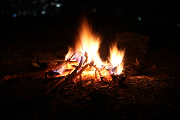 istock Bonfire at night in the cold. 1456714177