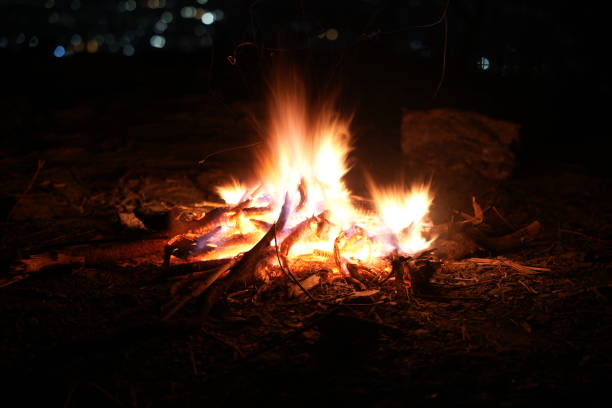 istock Bonfire at night in the cold. 1456714184