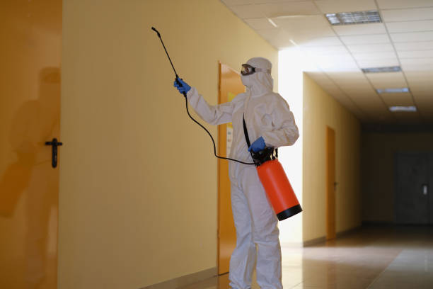istock Contractor disinfects office and corridor from coronavirus COVID-19 1456719487