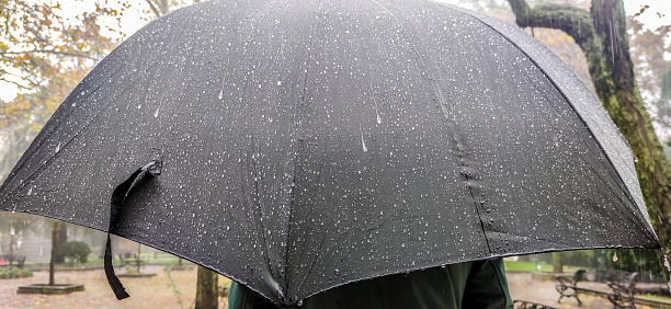 Mature man covered with big black umbrella. Visible sliding thick raindrops