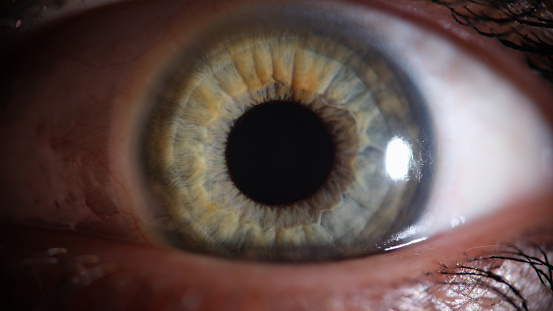 Person eye with beautiful green grey shades macro. Hyperopia myopia astigmatism and laser vision correction concept
