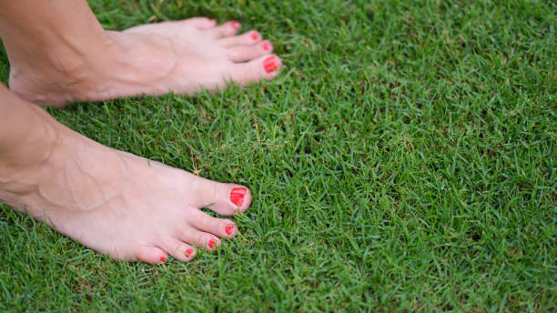 istock Woman with bare feet steps on summer grass closeup 1456723502